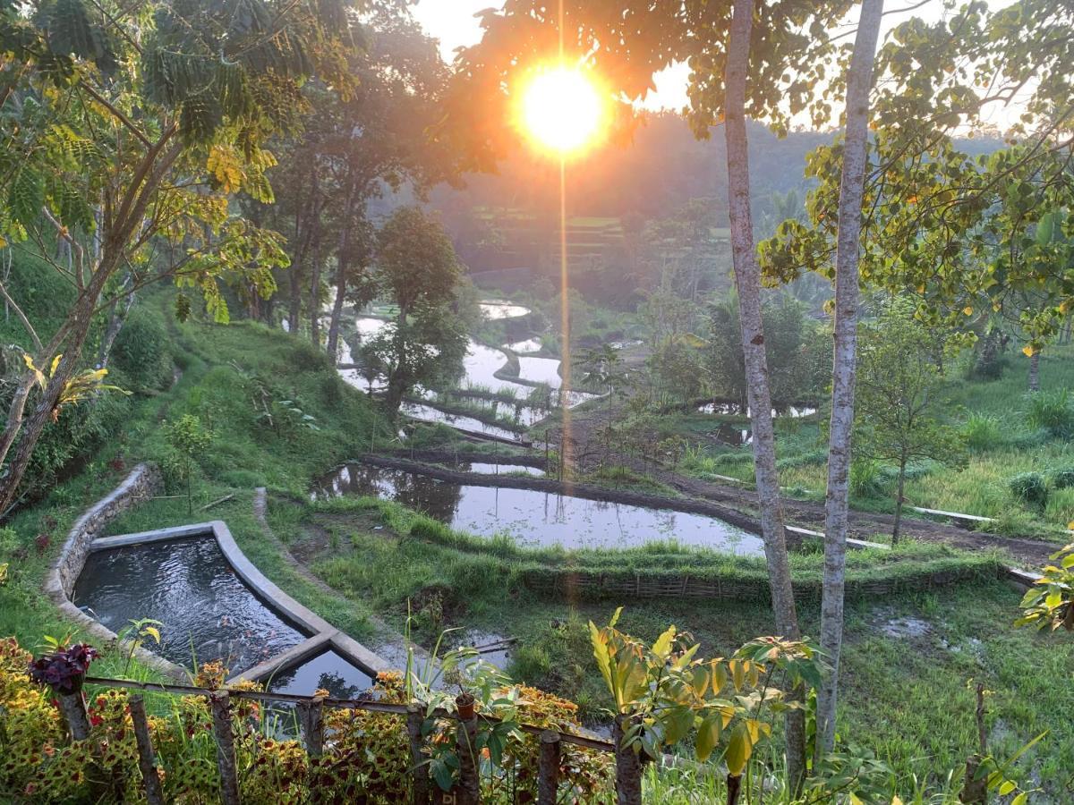 The Alam Tetebatu Bungalow & Restaurant المظهر الخارجي الصورة