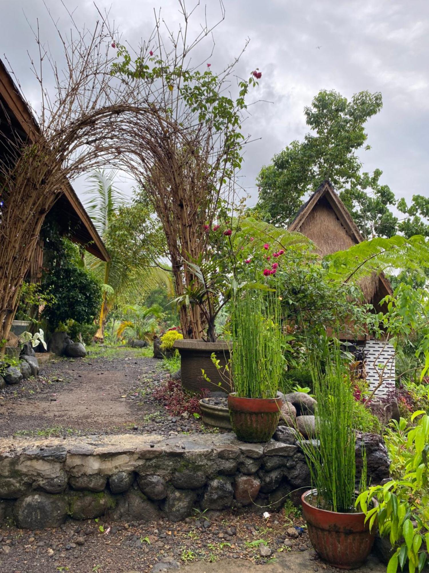 The Alam Tetebatu Bungalow & Restaurant المظهر الخارجي الصورة