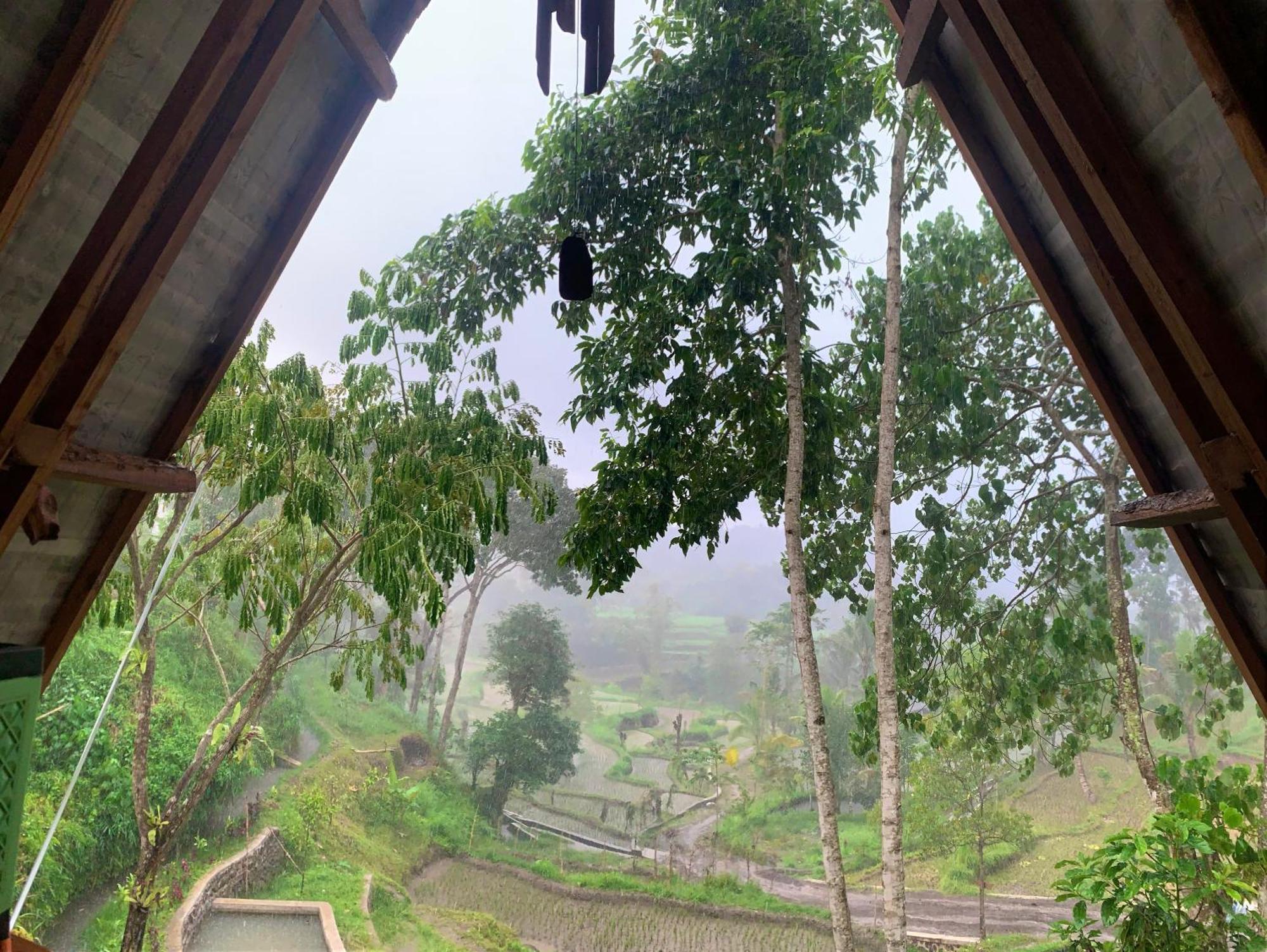 The Alam Tetebatu Bungalow & Restaurant المظهر الخارجي الصورة