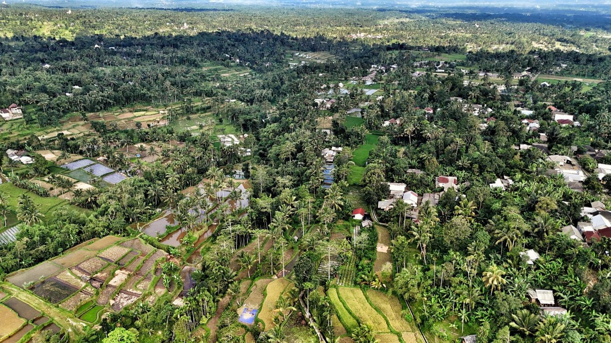 The Alam Tetebatu Bungalow & Restaurant المظهر الخارجي الصورة
