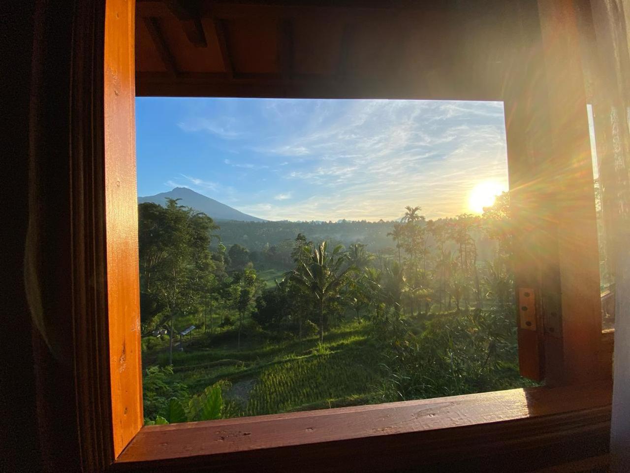 The Alam Tetebatu Bungalow & Restaurant المظهر الخارجي الصورة